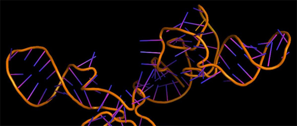 На смену CRISPR придет редактирование РНК