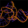 На смену CRISPR придет редактирование РНК