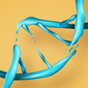 Среди причин старения ученые обнаружили двунитевые разрывы в ДНК