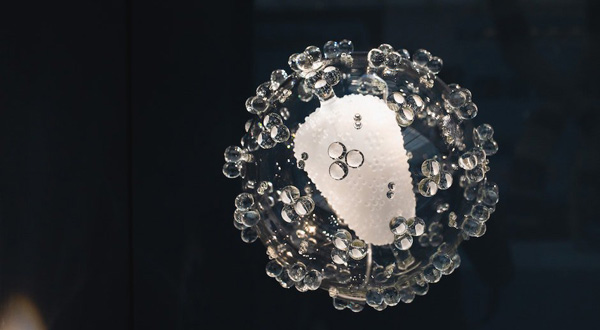 На борьбу с раком направили вирусы