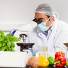 Петербургские ученые создадут функциональные продукты питания для профилактики рака