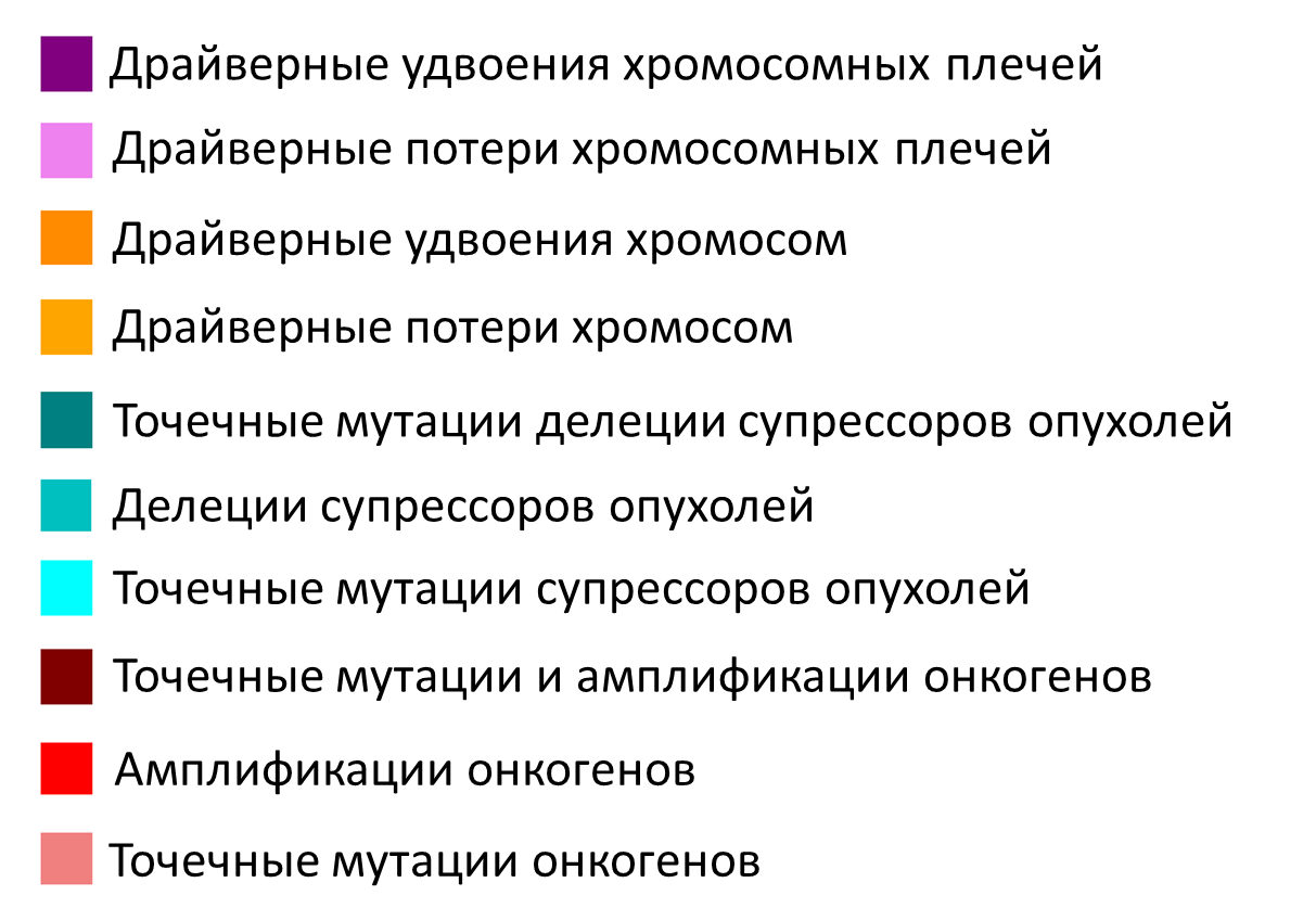 Классифицированы данные из крупнейшей базы онкогенных мутаций