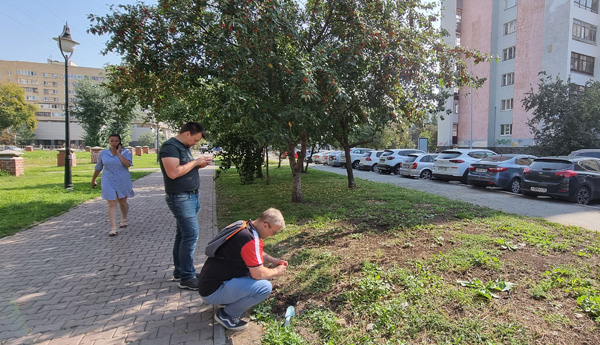 Исследования городской пыли показали, что екатеринбуржцам не угрожает рак из-за загрязнения тяжелыми металлами