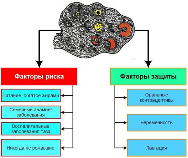 Реферат: Опухоли яичников